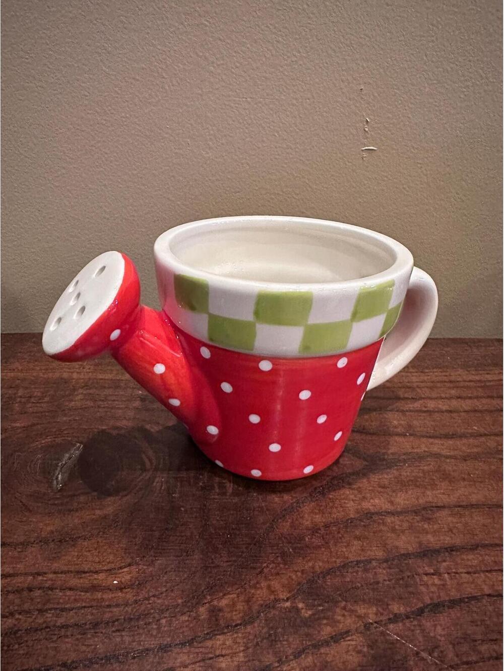 Whimsical Watering Can Planter Pot